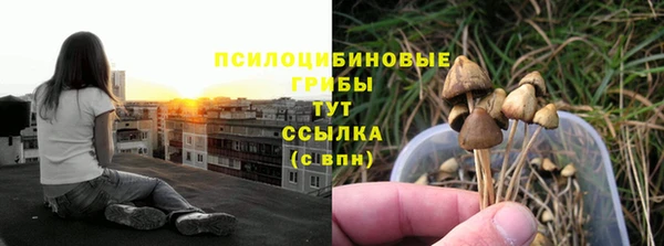 гашиш Тайга