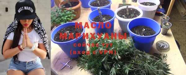 крисы Сясьстрой