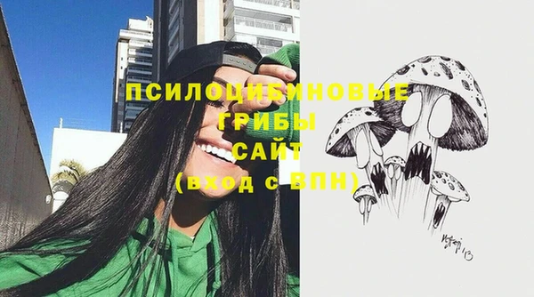 крисы Сясьстрой