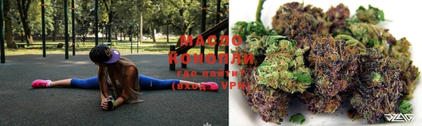 крисы Сясьстрой